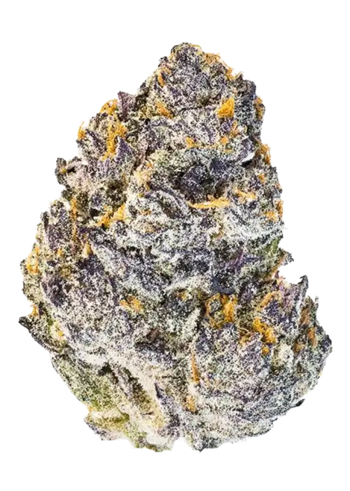 Original Afghan Kush Auto