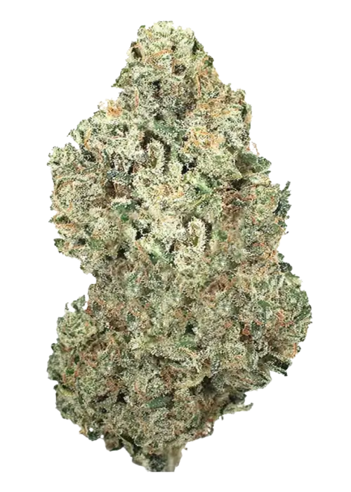 Original Afghan Kush Auto