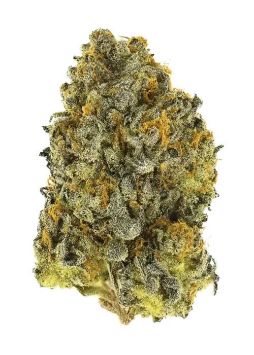 Original Northern Lights Auto