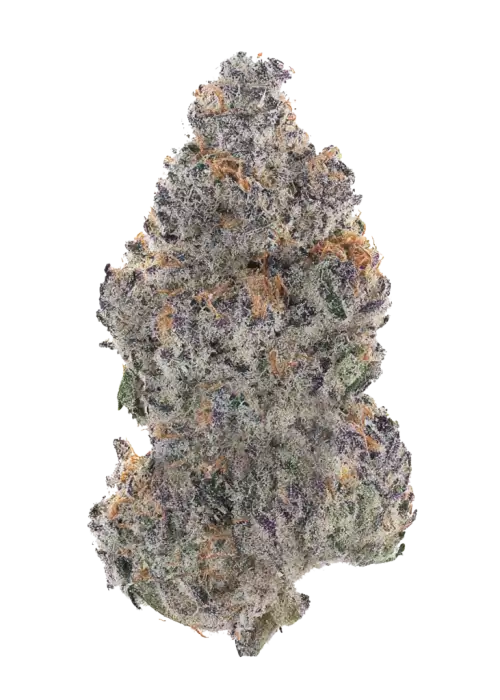 Banana Purple Punch Auto RF3