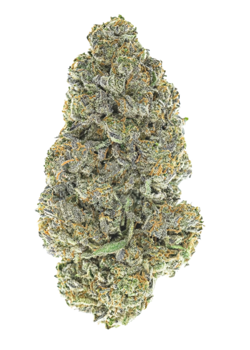 Lemon Burst