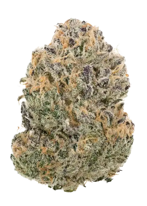 Atomic Blue Dream