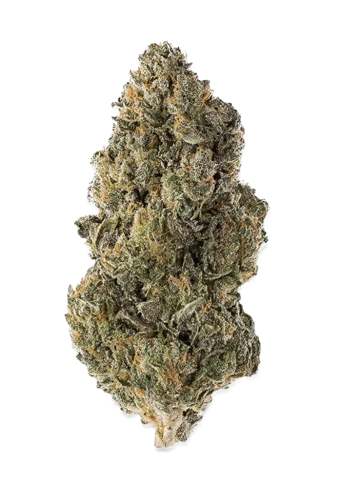 Grape God Cannabis Strain Products - GrowDiaries