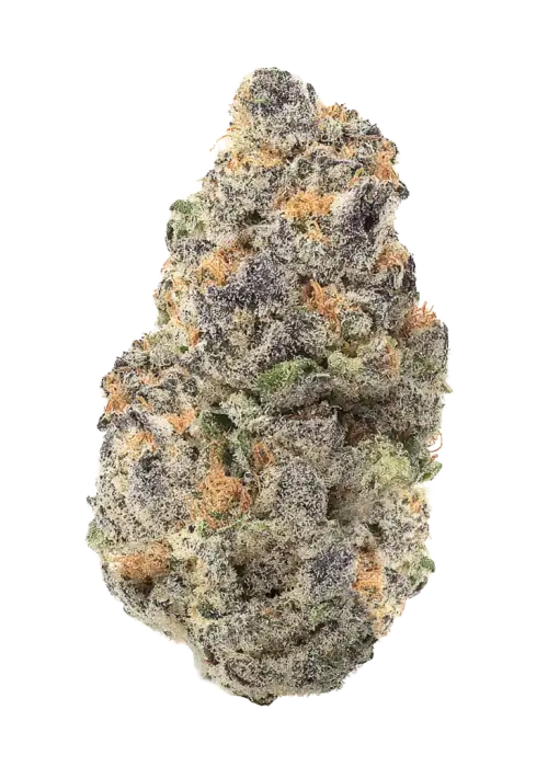 Purple Berry Muffinz