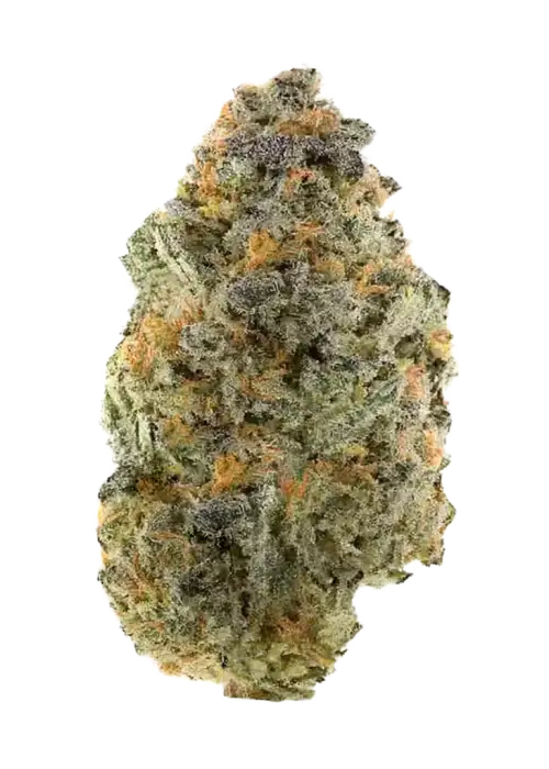 Gelato #420