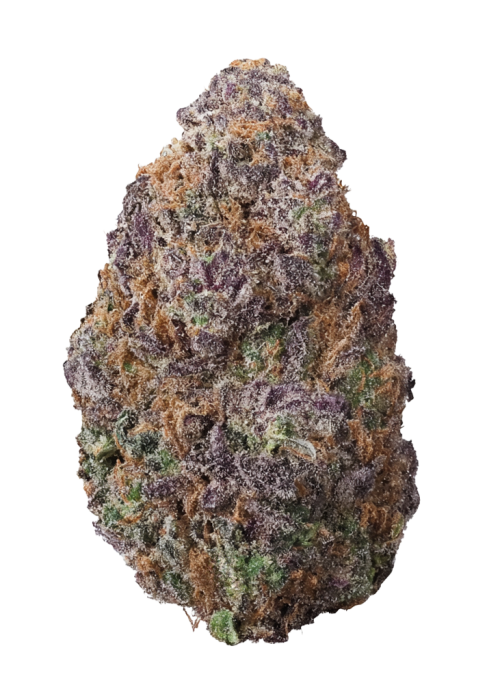 Sensi Purple Kush