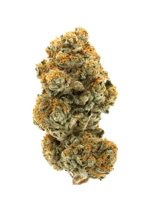 Cream Soda