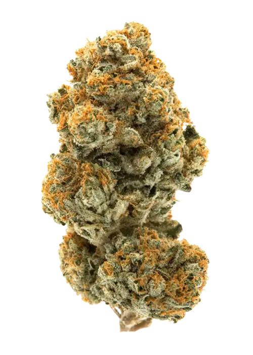 Cream Soda