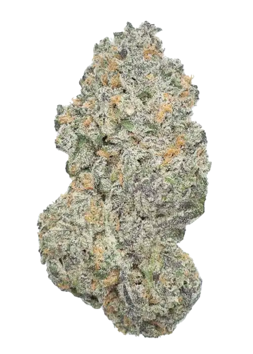 Raspberry Critical Kush