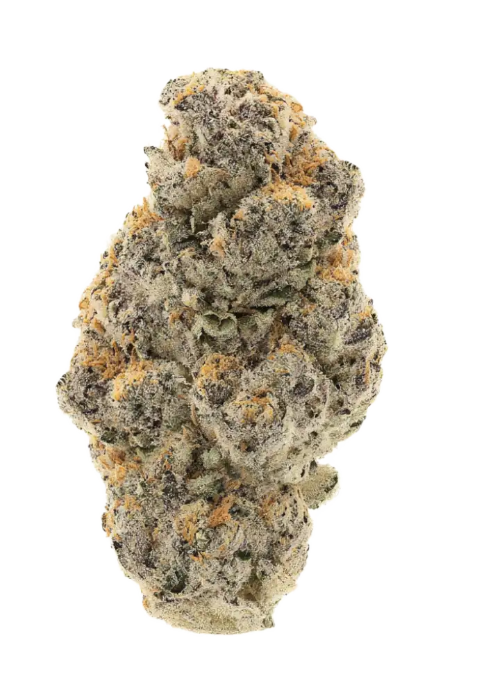 8574-x-haze_1000.webp