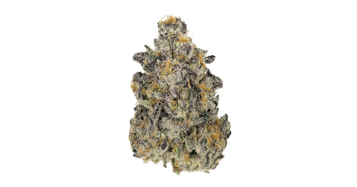 Lemon Cherry Zeelosa Cannabis Strain Information - GrowDi