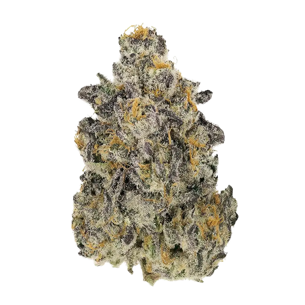 Lemon Cherry Zeelosa Cannabis Strain Information - GrowDi