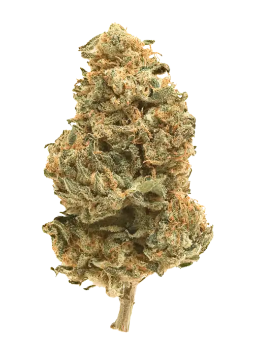 Citradelic Sunset
