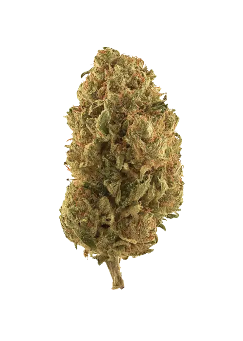 Citradelic Sunset
