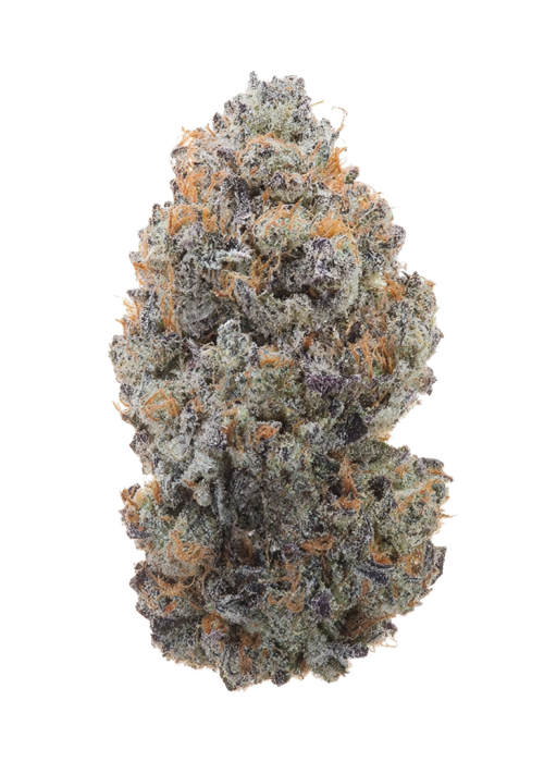 Blue Randylosa