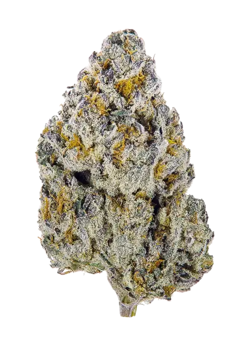 Crystal Candy F1 Fast Version