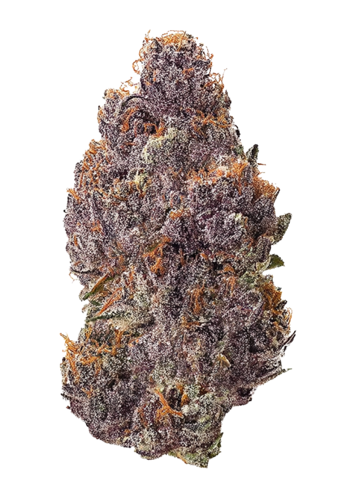 Mandarin Zkittlez R1