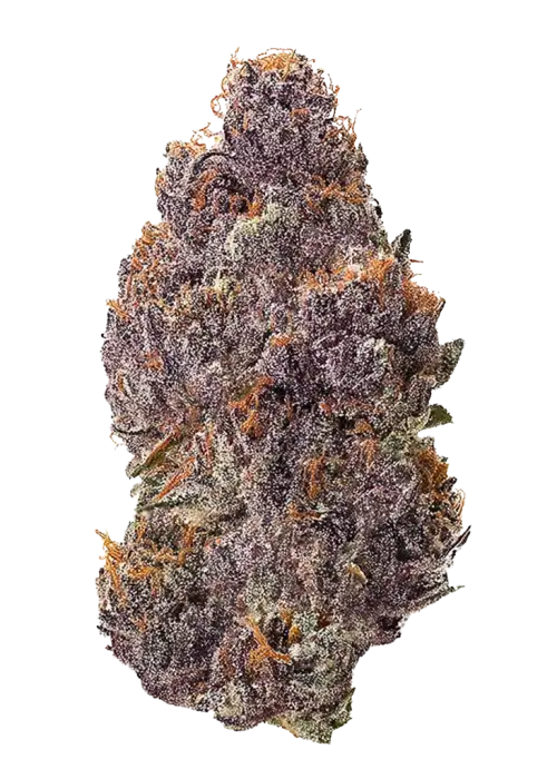 Mandarin Zkittlez R1