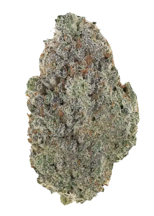 Grandpa's Cookies R2 V1