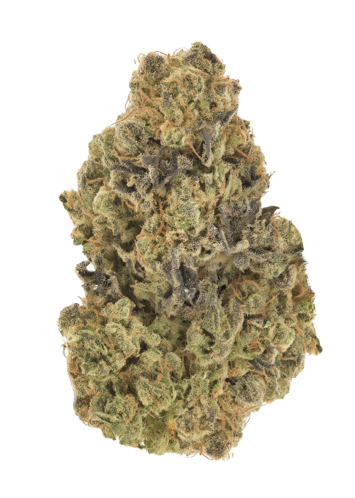 Winterberry