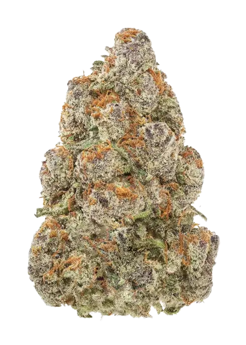 Straw-Lectric Lemonade