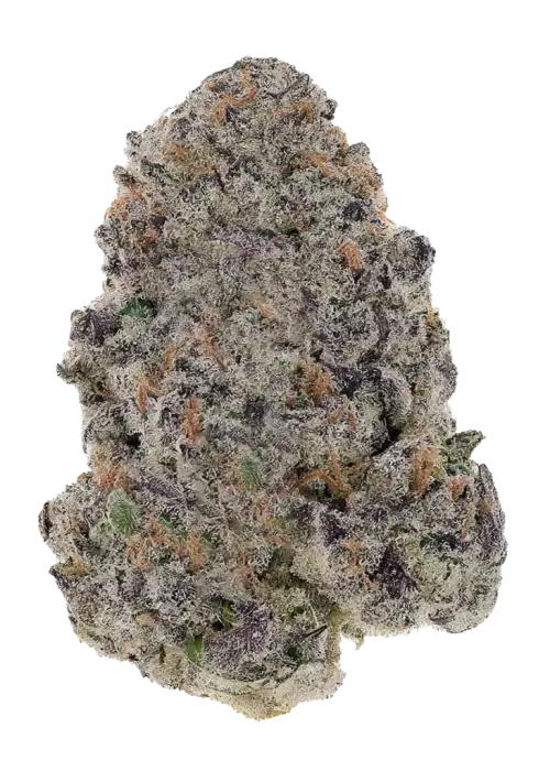 GRAPE BALLS OF FIRE Rbx