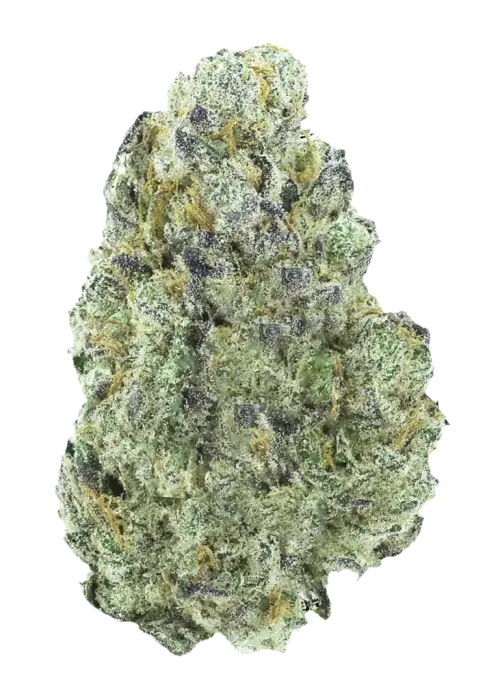 Grandpa’s Stash R2