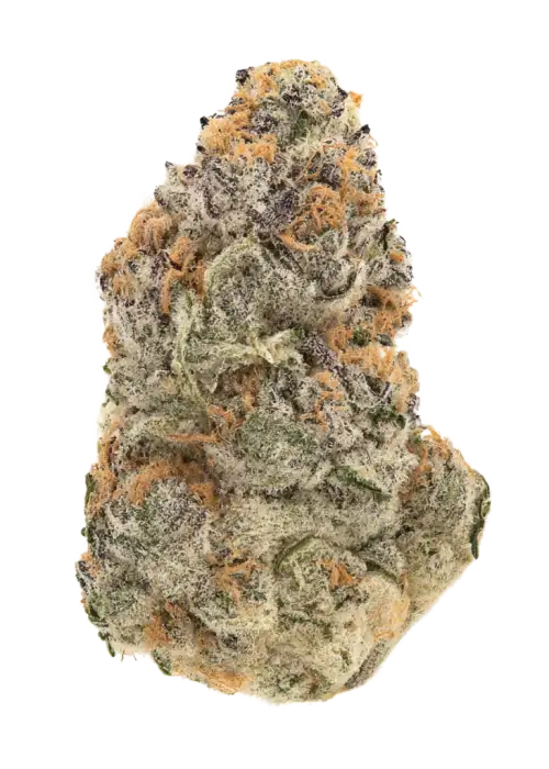 Grandpa’s Cookies R1