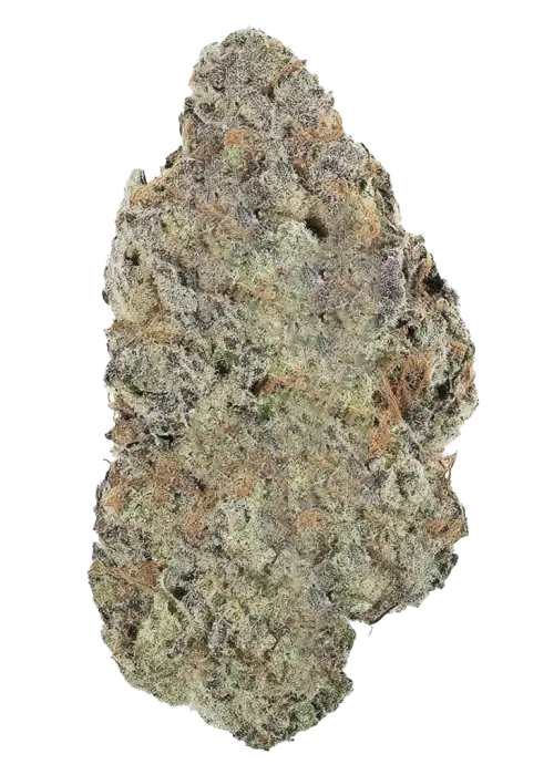 Grandpa’s Cookies R1