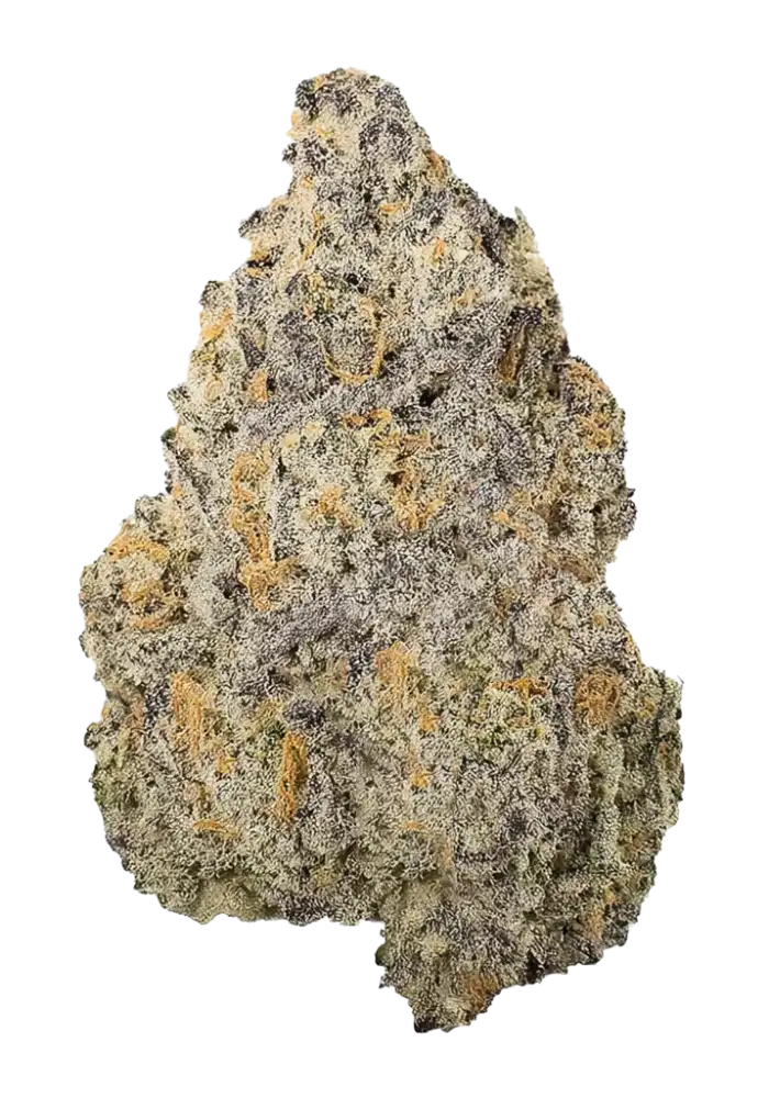 7716-ethos-apex-r1_1000.webp