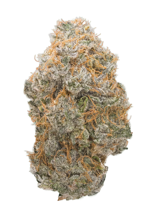 End Game RBX “The Punch Line”