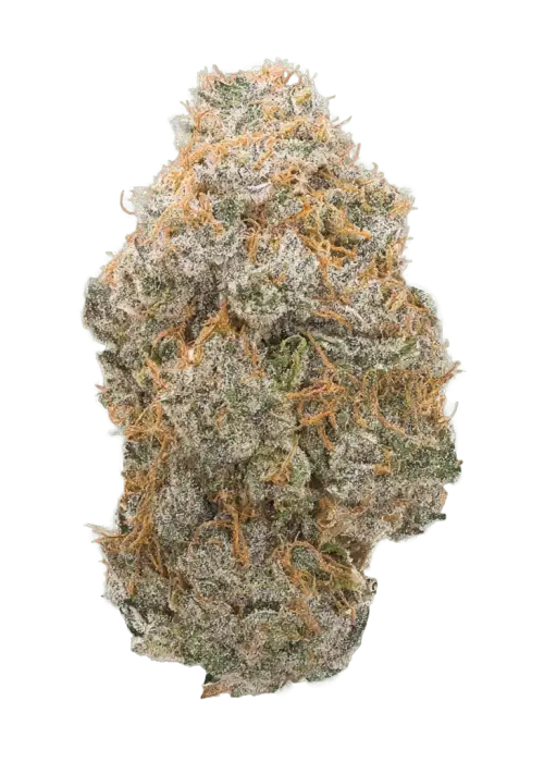 End Game RBX “The Punch Line”