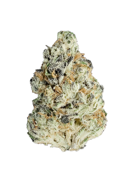 Sour Lemon