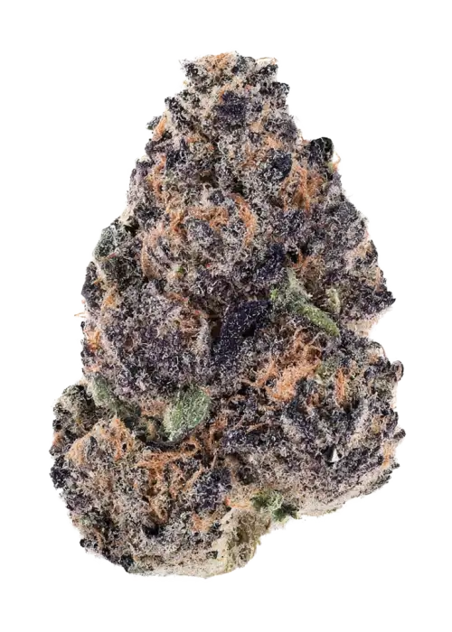 Punchberry Cookies RBX