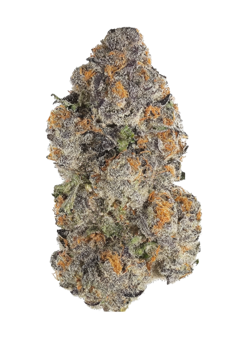 Strawberry Cookies OG R1