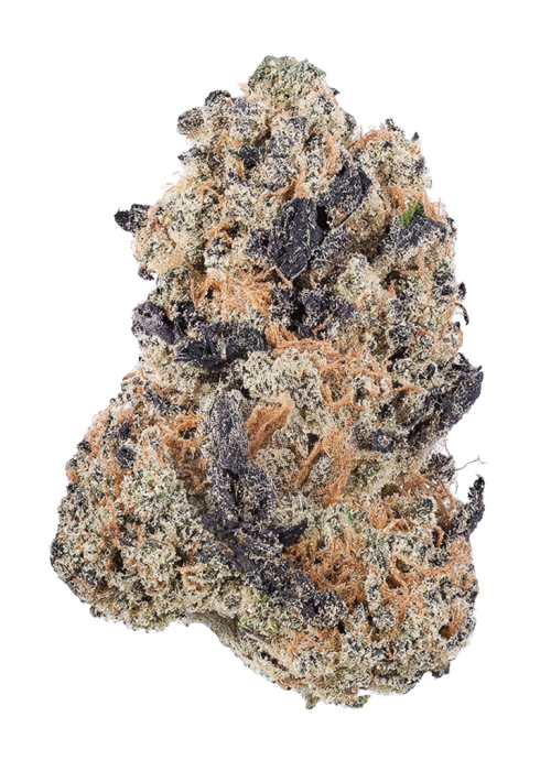 Double Cherry Pie R1