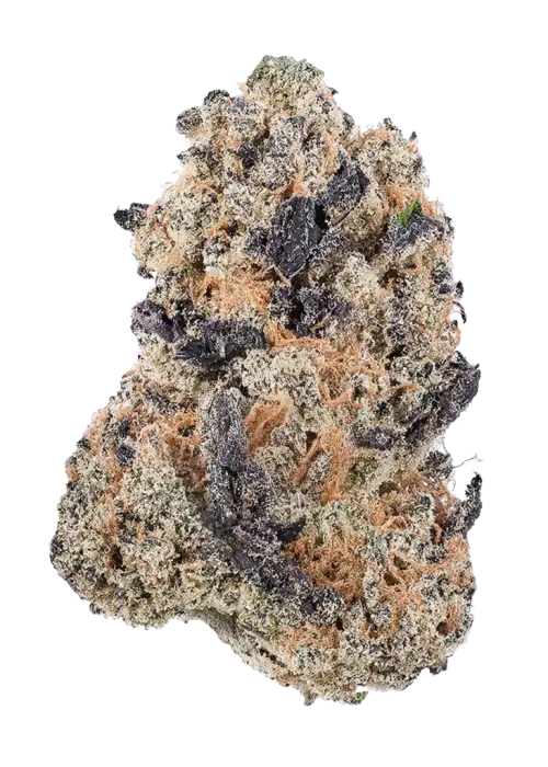 Double Cherry Pie R1