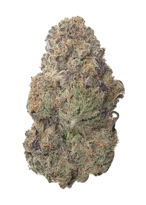 Cherry Cola Auto RF3