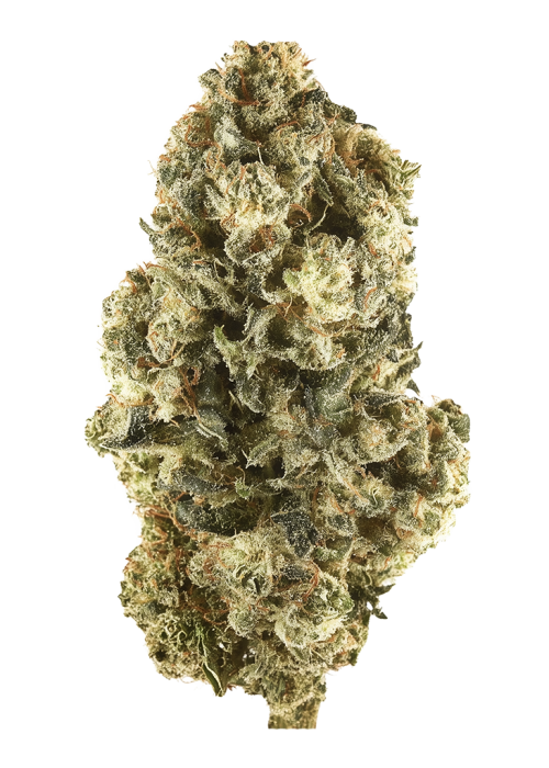 Lemon Ice