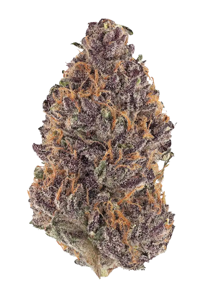 Forbidden Zkittlez BX2 Cannabis Strain Information - GrowDiaries