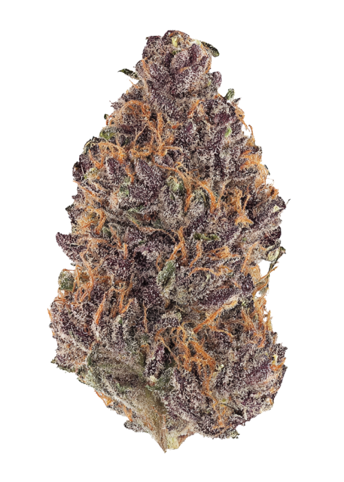 Forbidden Zkittlez BX2