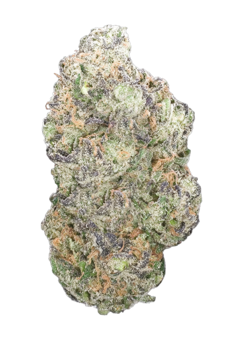 Lilac Cookies BX2