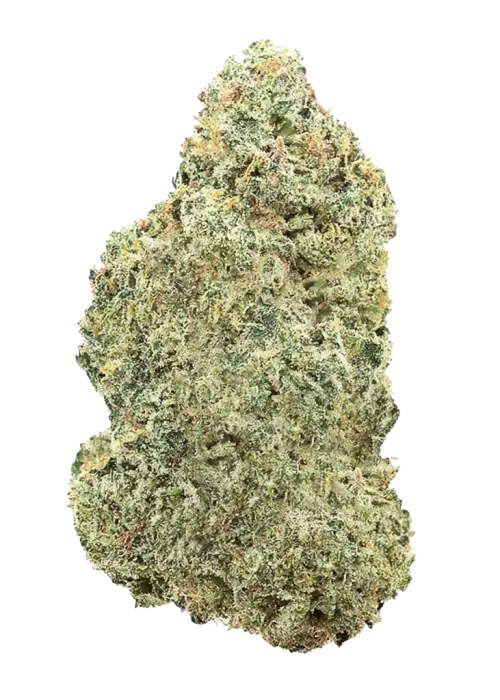 Lilac Diesel BX4