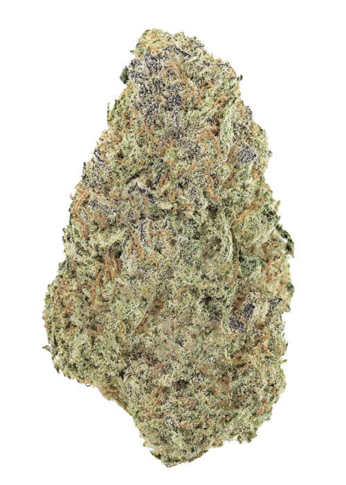 Mandarin Zkittlez F-1