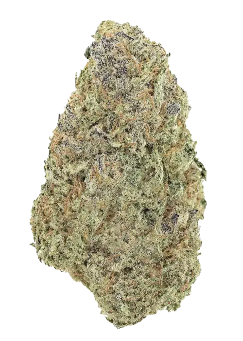 Mandarin Zkittlez F-1