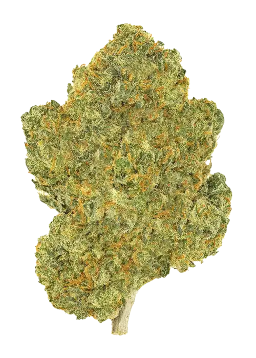 Super Lemon Haze IBL V1