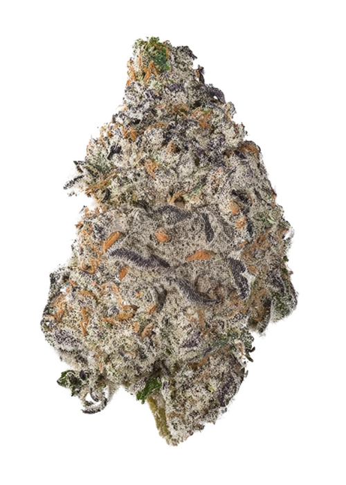 Malawi White Truffle