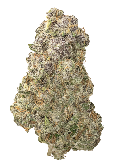 Hippieberry