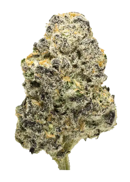 Dr. Greenman Pure CBD