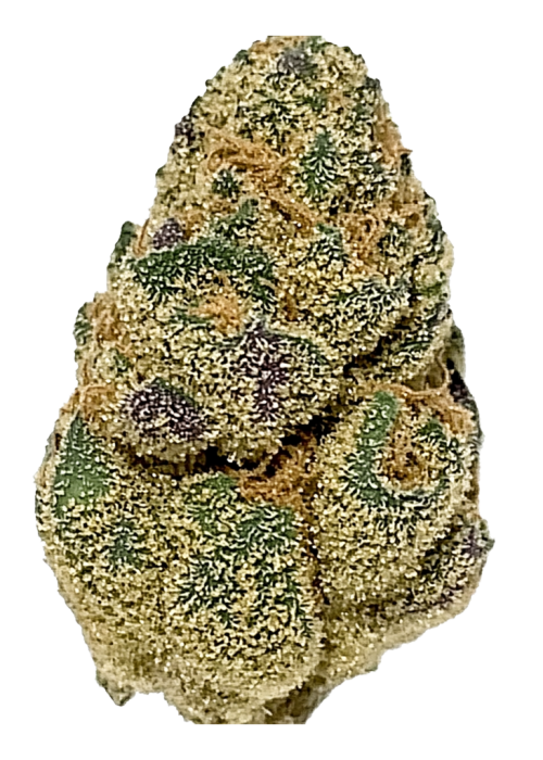 Orange 43